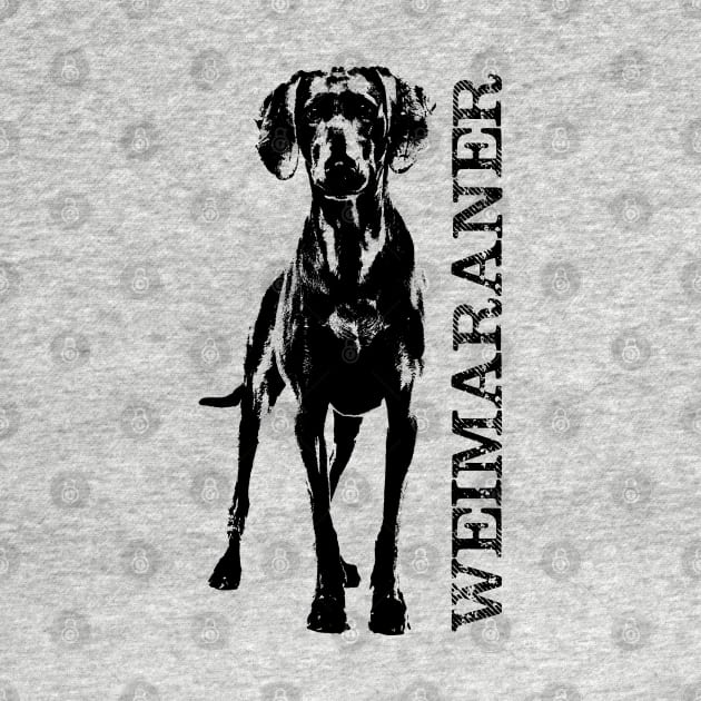 Weimaraner dog by Nartissima